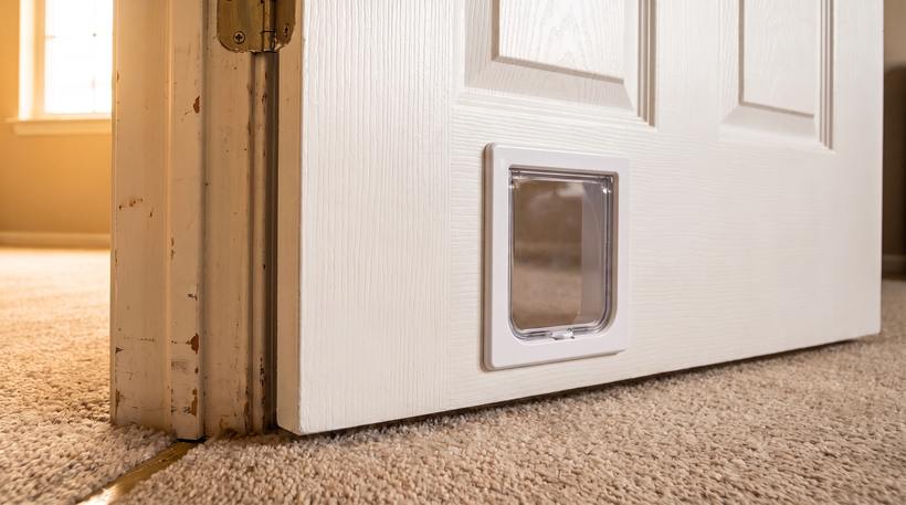 The same door with a pet door installed cleanly at the base