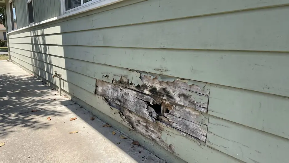 Before: rotted siding boards on a house wall