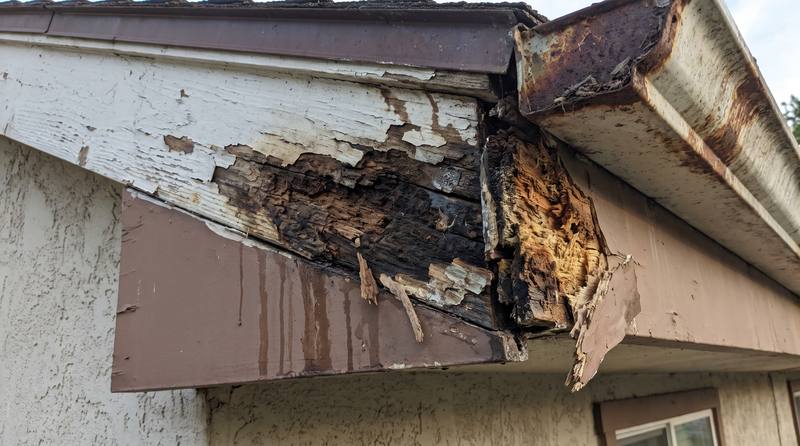 Severely rotted fascia and trim on a house corner before repair