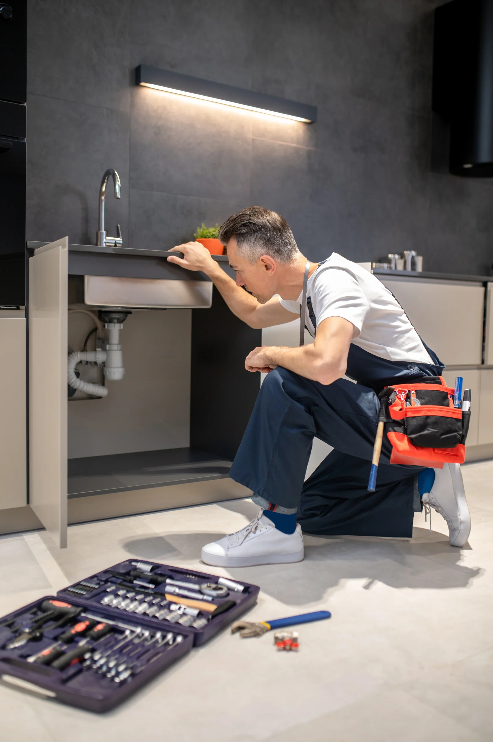 Under Sink And Cabinet Leak Assessment