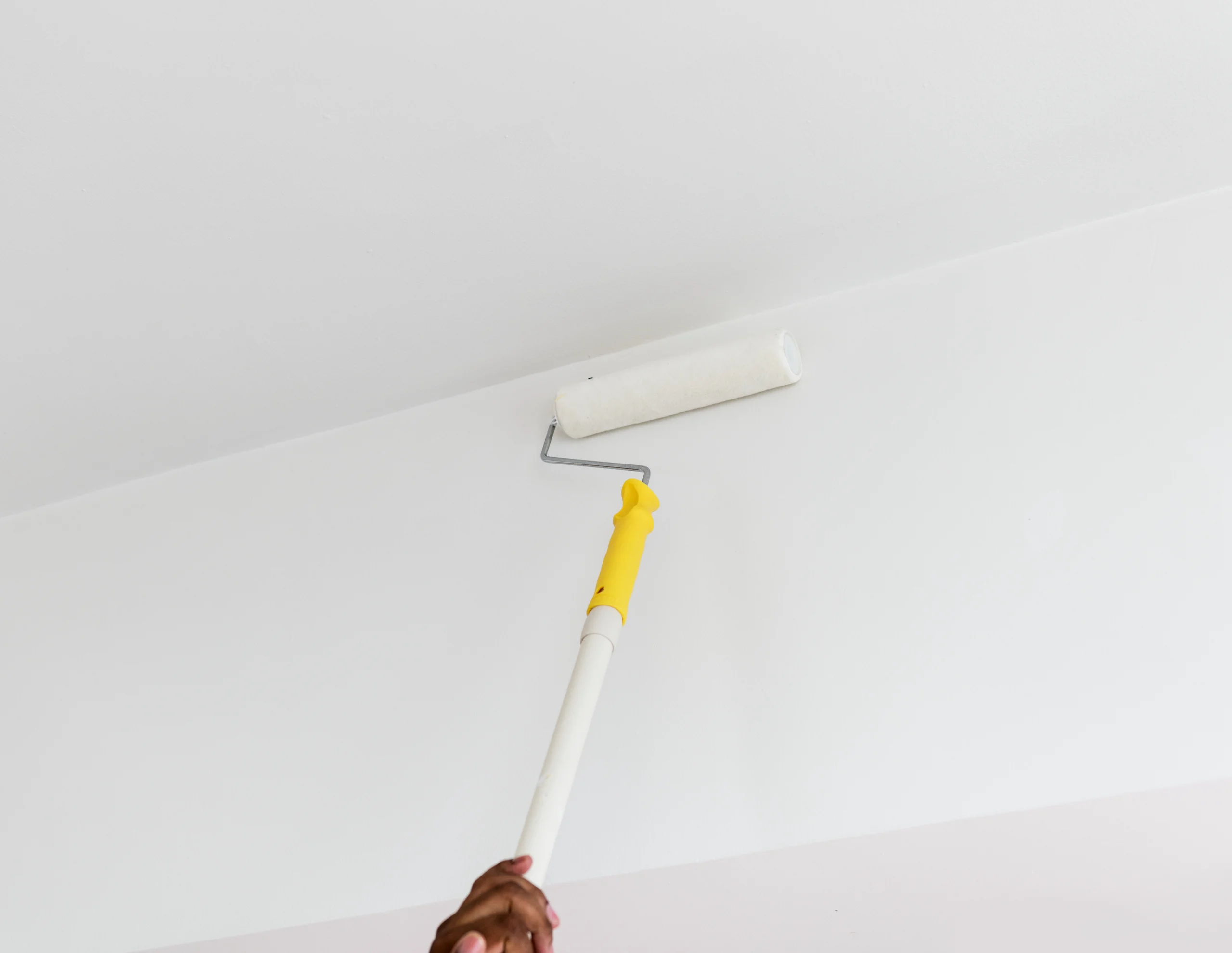 Wall Ceiling Painting
