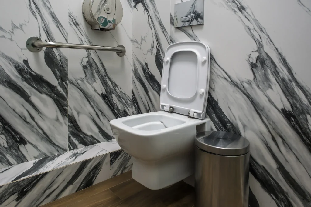 Toilet Grab Bar Installation